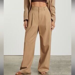Everlane Way High Pants in Tan Short